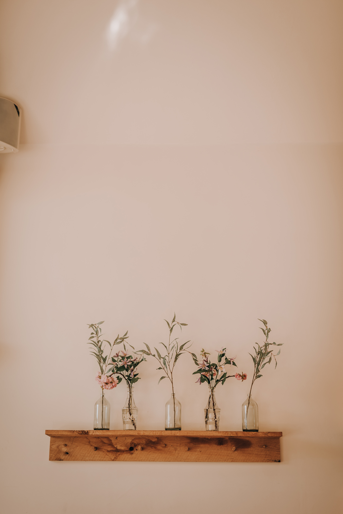 DM Photography DM Photography